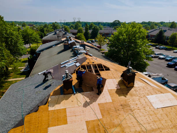 Quick and Trustworthy Emergency Roof Repair Services in West Columbia, SC