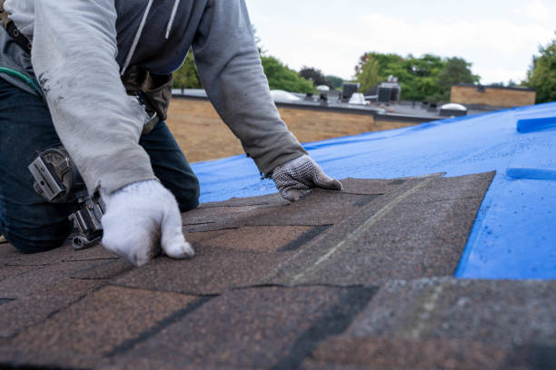Roof Repair Estimates in West Columbia, SC